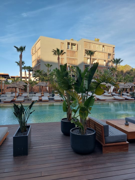 Pool OKU Ibiza