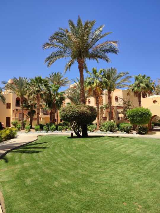 Gartenanlage Steigenberger Coraya Beach - Adults only