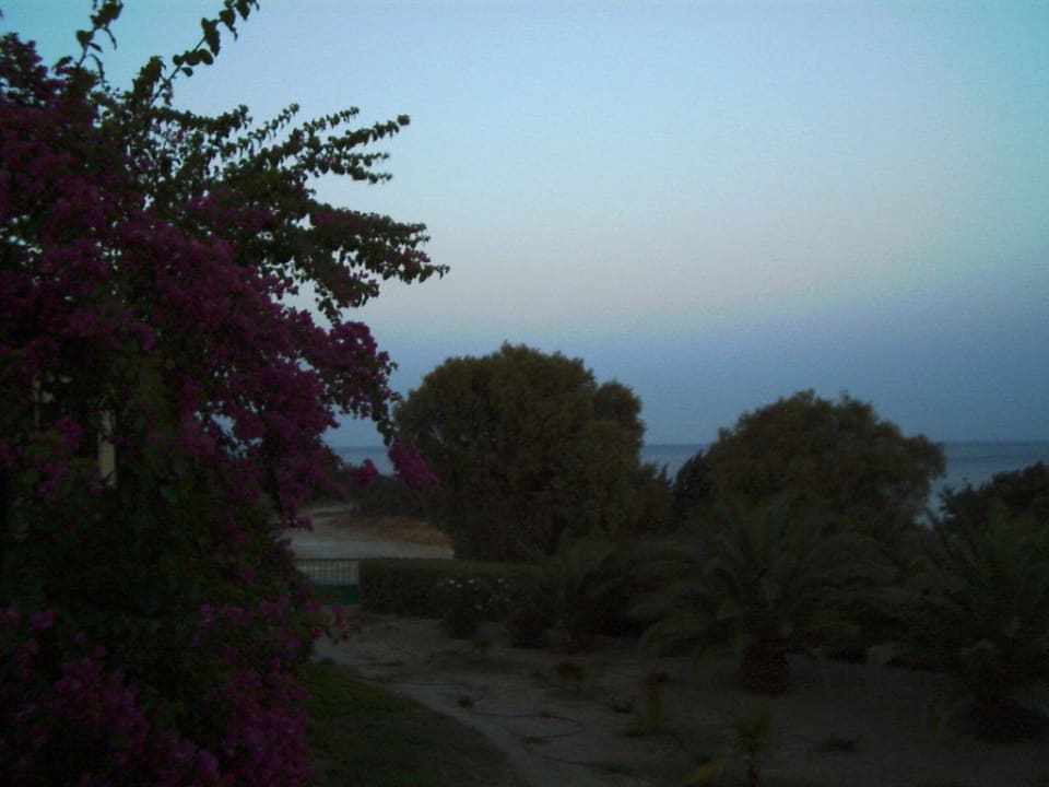 Sonnenaufgang Porto Bello Beach