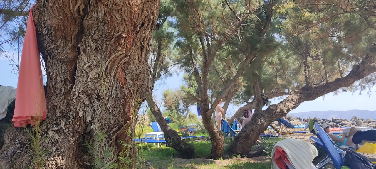 Außenansicht Elena Beach Hotel