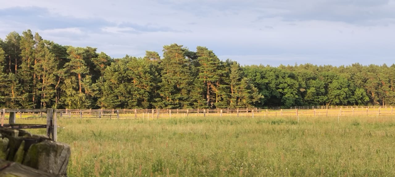 Gartenanlage Ferien Hotel Fläming