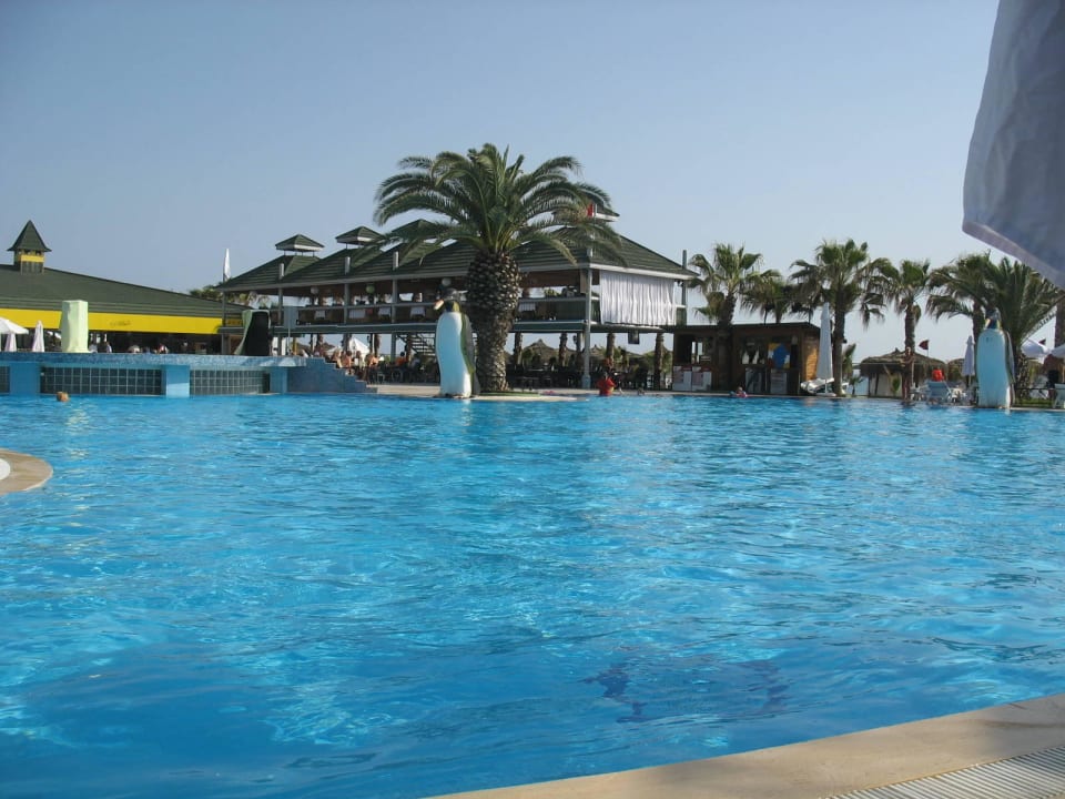 Basen Botanik Hotel & Resort