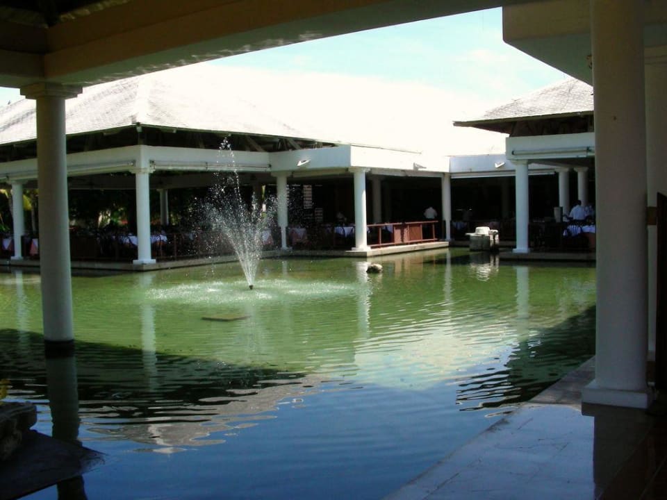 Restaurant Gran Caribe Catalonia Punta Cana - All Inclusive