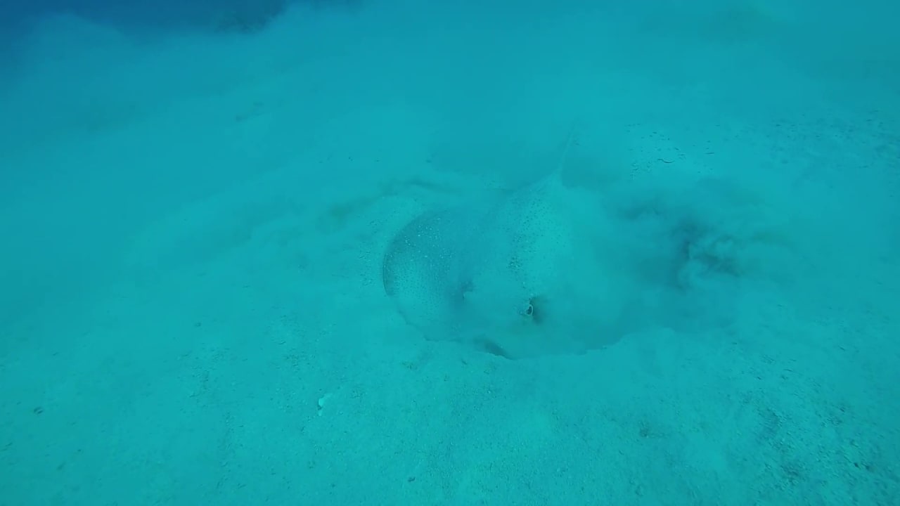 Sport & Freizeit Cleopatra Luxury Resort Makadi Bay