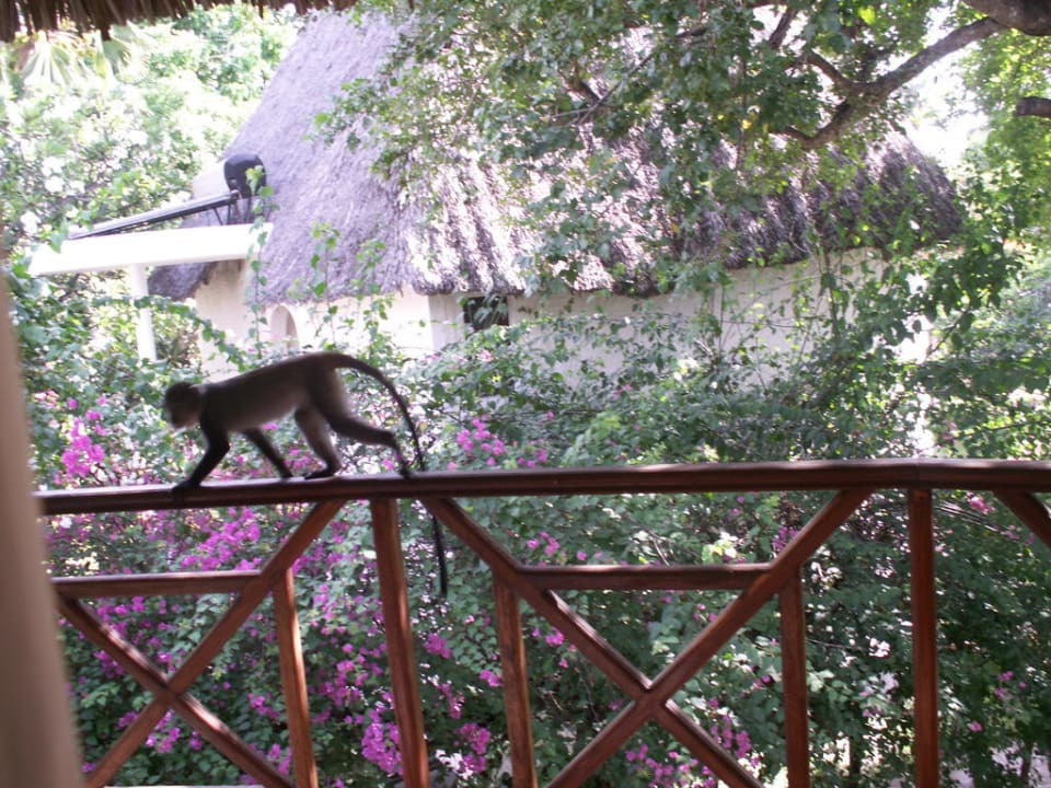 Balkon Neptune Village Beach Resort & Spa