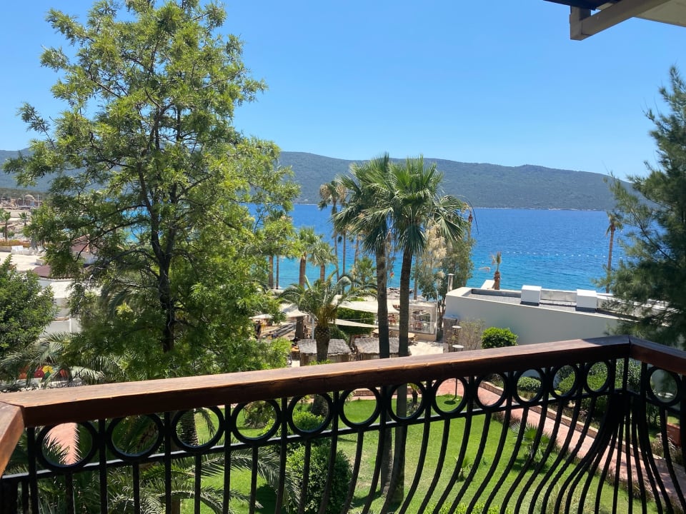 Ausblick TUI MAGIC LIFE Bodrum - Adult Only (16+)