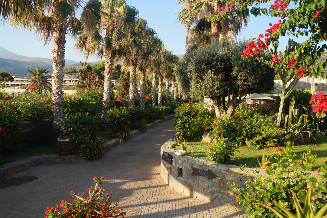 Gartenanlage Kernos Beach Hotel & Bungalows