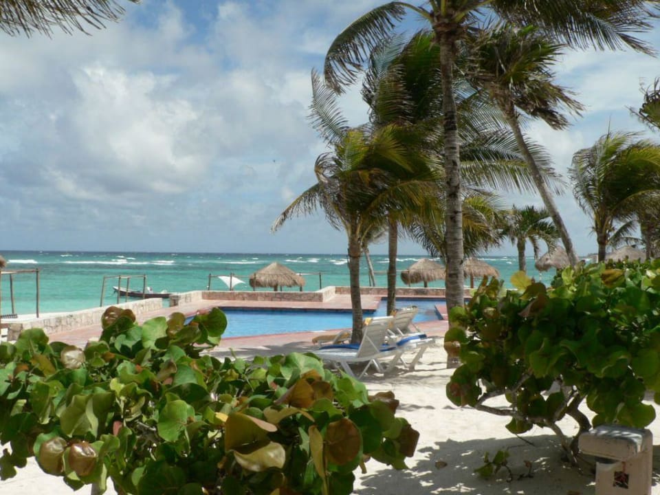 Pool am Strand  Grand Oasis Tulum Riviera - All Inclusive