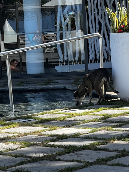 Sonstiges Radisson Blu Poste Lafayette Resort & Spa - Adults only