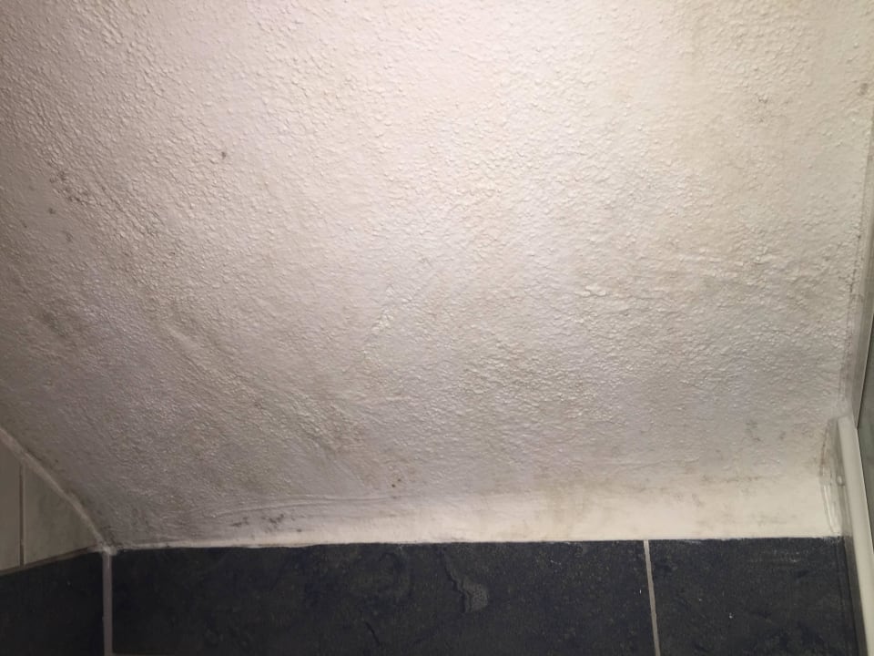 Schimmel an Seite/Decke der Dusche Hotel Pelikan