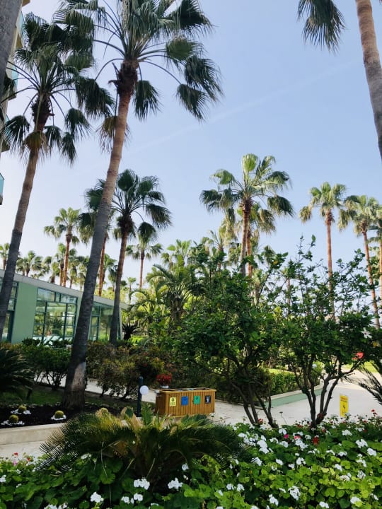 Gartenanlage VONRESORT Golden Coast