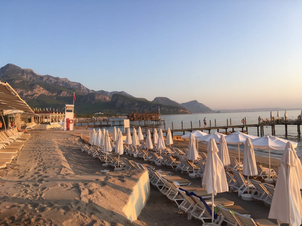 Strand Crystal Flora Pearl Collection