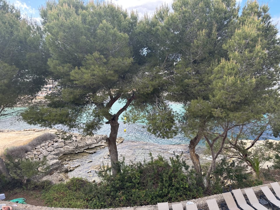 Ausblick Occidental Cala Viñas