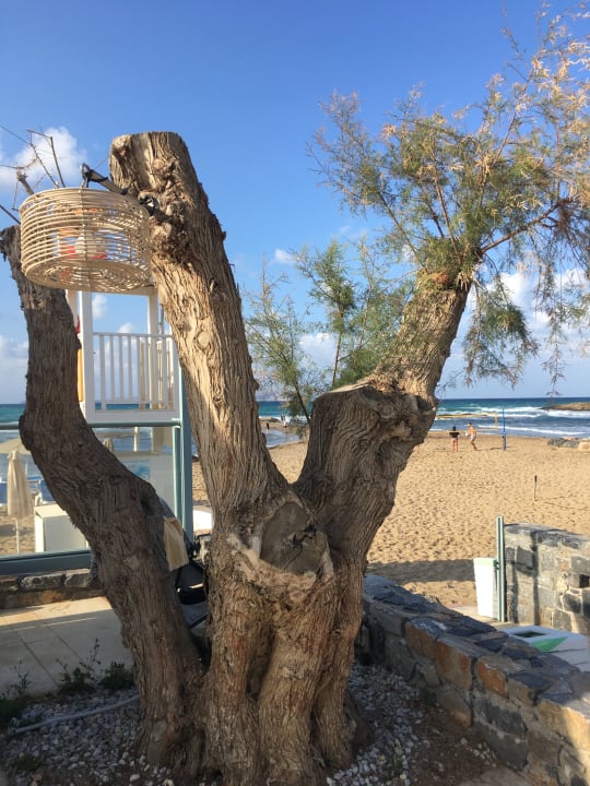 Strand Arina Beach Resort