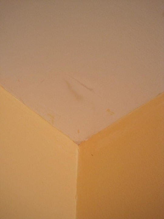 Spinnenweben und Schimmel an der Decke Hotel Yavor Palace