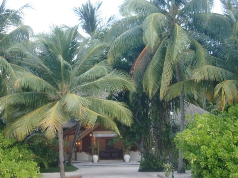 Rezeption Kuramathi Maldives