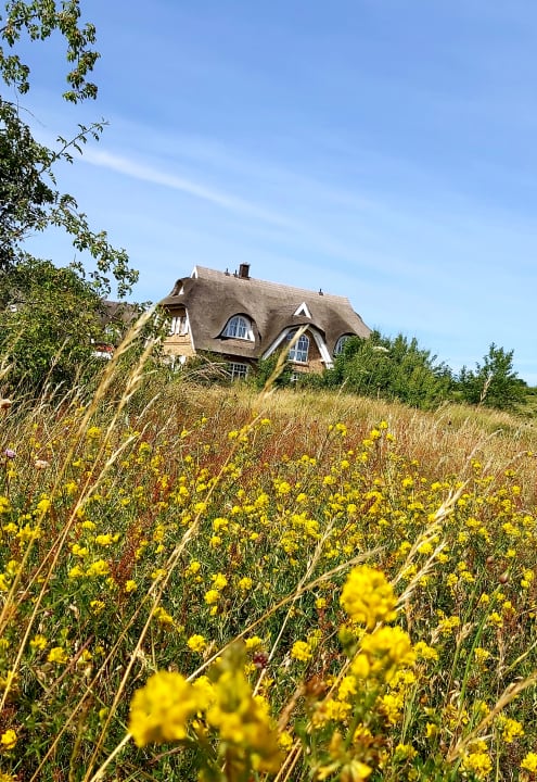 Ausblick Santé Royale Rügen Resort