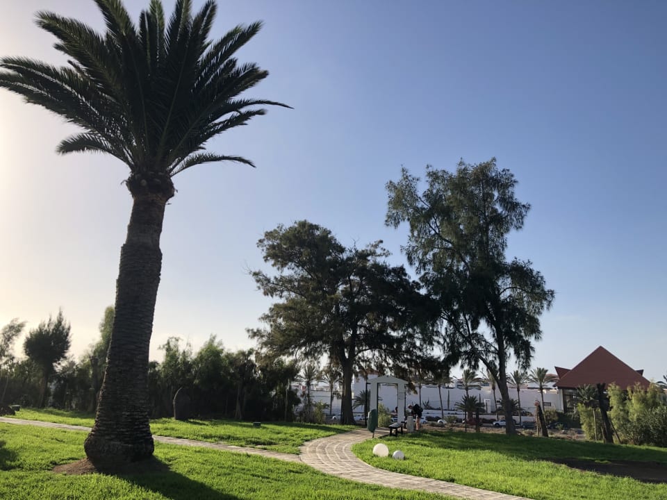 Gartenanlage allsun App.-Hotel Esquinzo Beach