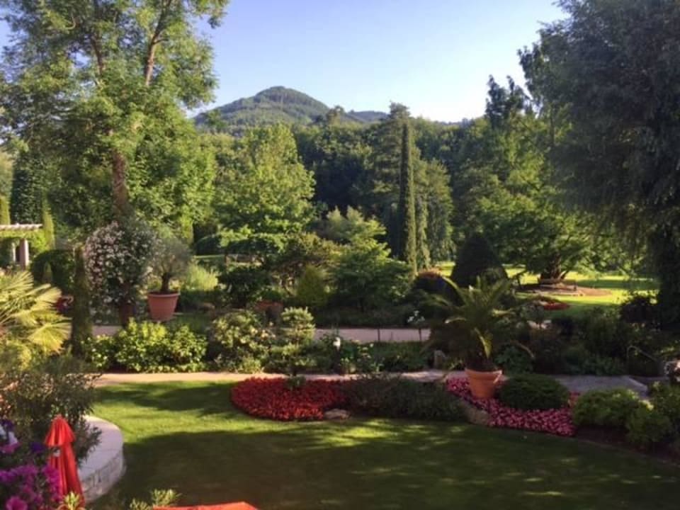 Zimmerausblick Hotel Restaurant Rebstock Durbach