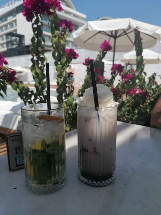 Gastro Rubi Platinum Sign