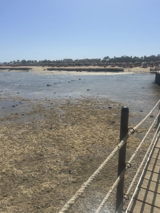 Strand Pickalbatros Sands Hotel - Port Ghalib