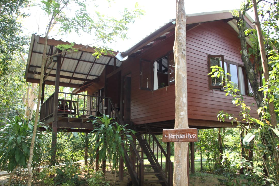 Rambutan House Our Jungle House