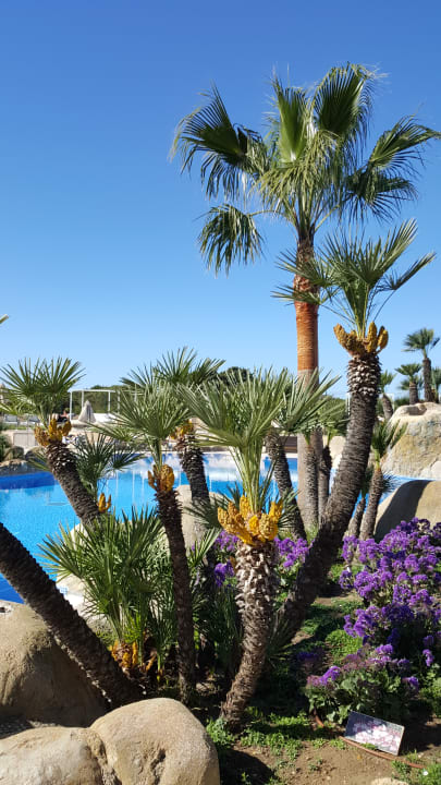 Garten Hipotels Playa la Barrosa