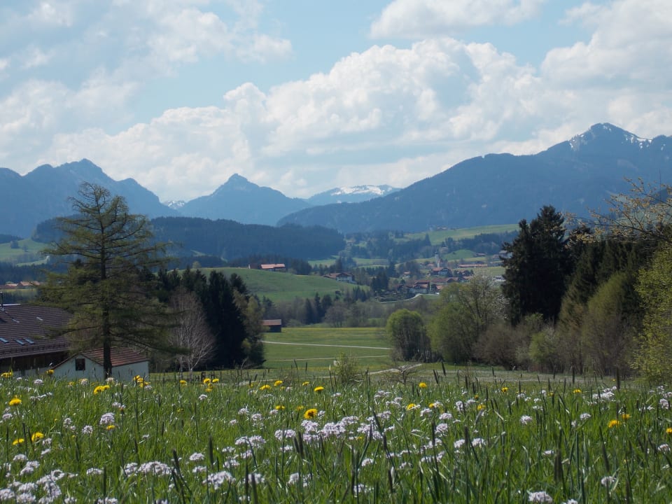Sonstiges Ferienhof - Bauernhof Hefele