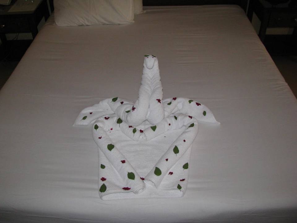 Pokój Palmyra Amar El Zaman Aqua Park