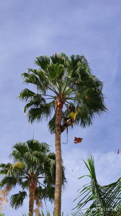 Garten Hotel Riu Gran Canaria