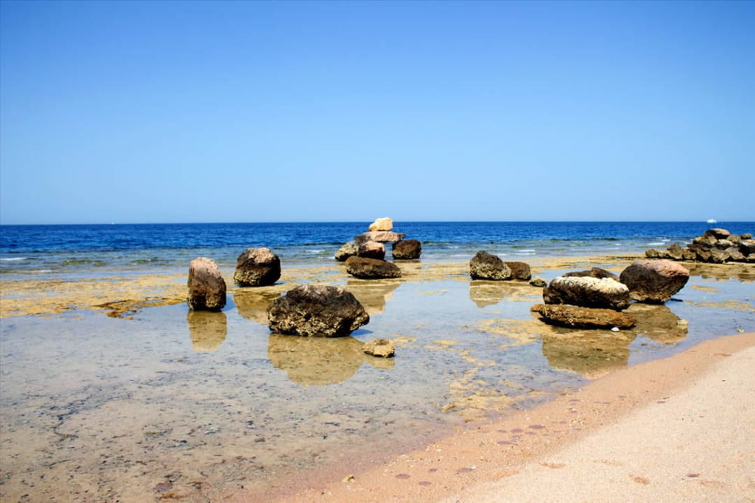 Strand  Pickalbatros Citadel Resort