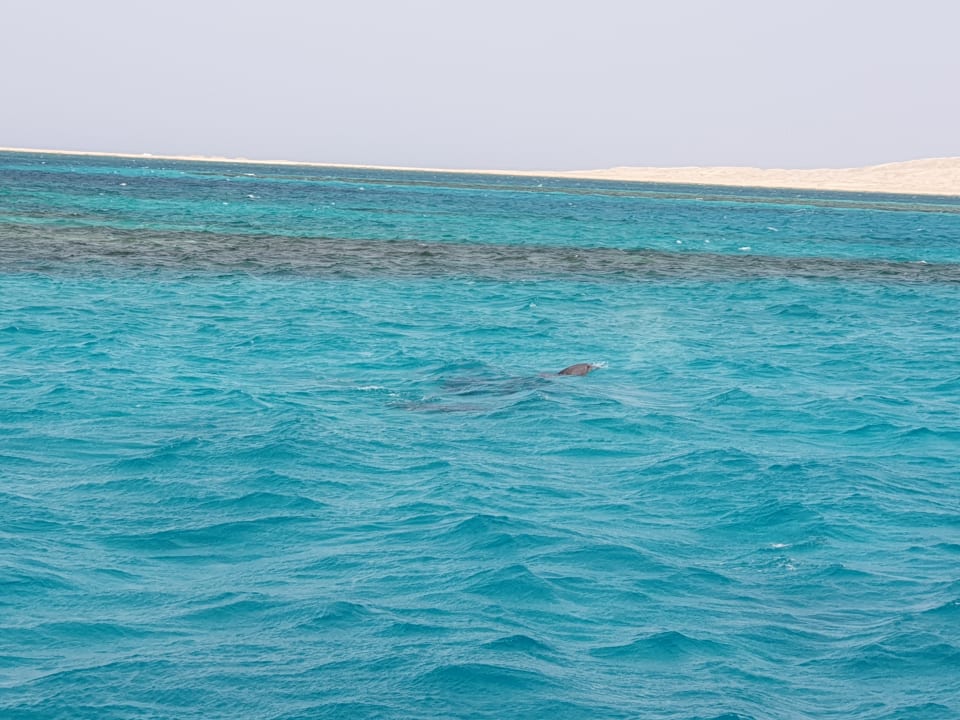 Strand Swiss Inn Resort Hurghada