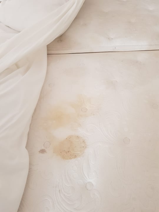 Zimmer Ladonia Hotels Delmare