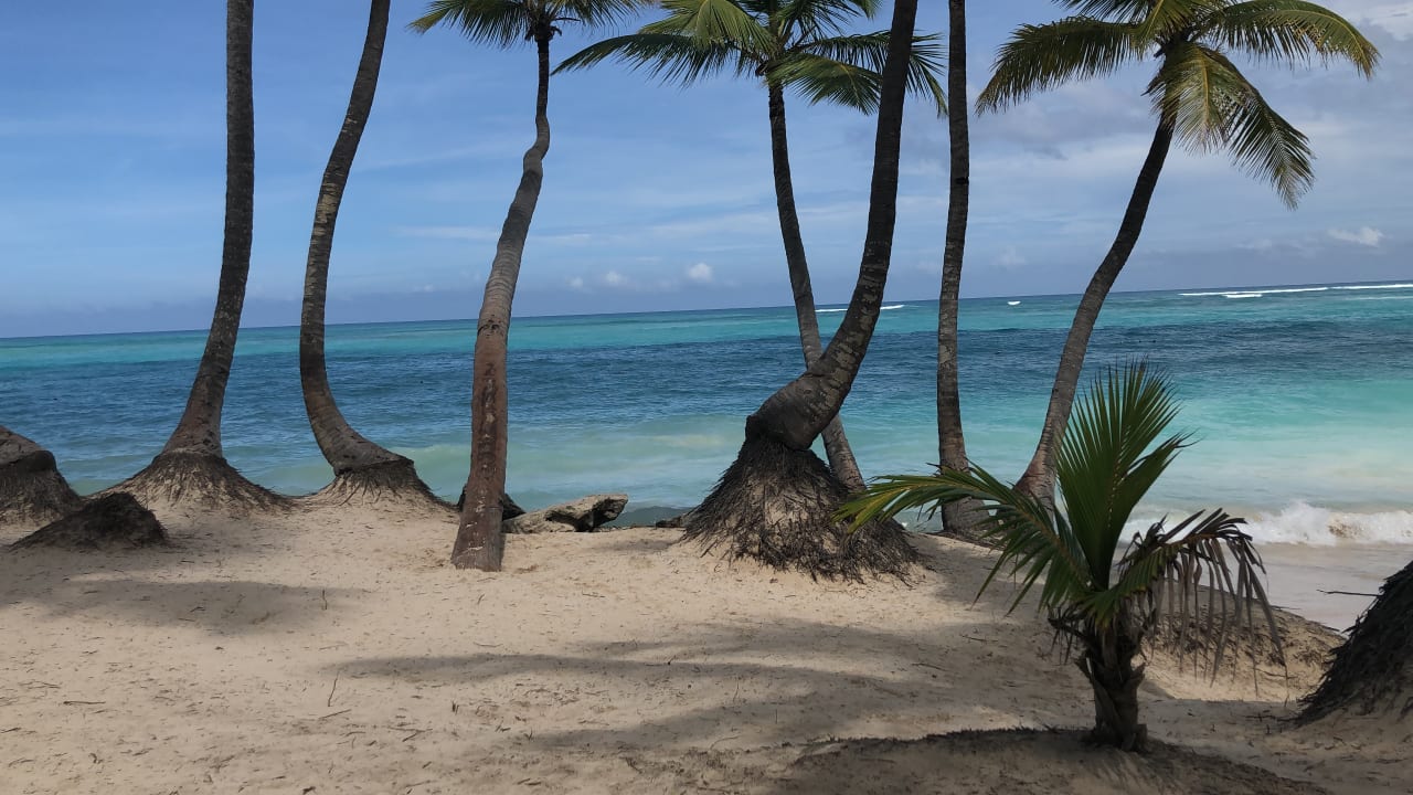 Strand Hotel Riu Palace Bavaro