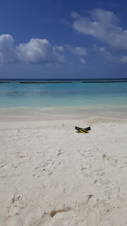 Blick von der Terrasse Kuramathi Maldives