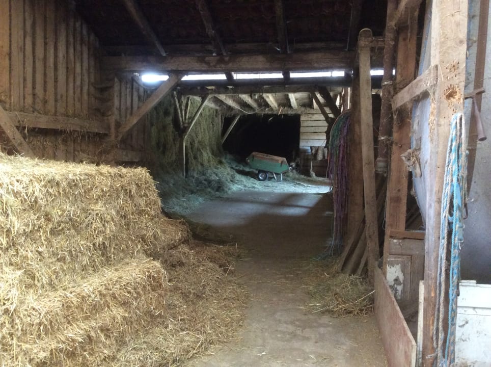 Sonstiges Erlebnisbauernhof Achatz