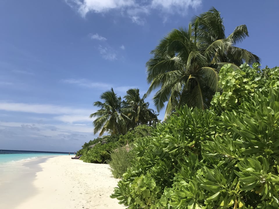 Strand ROBINSON MALDIVES