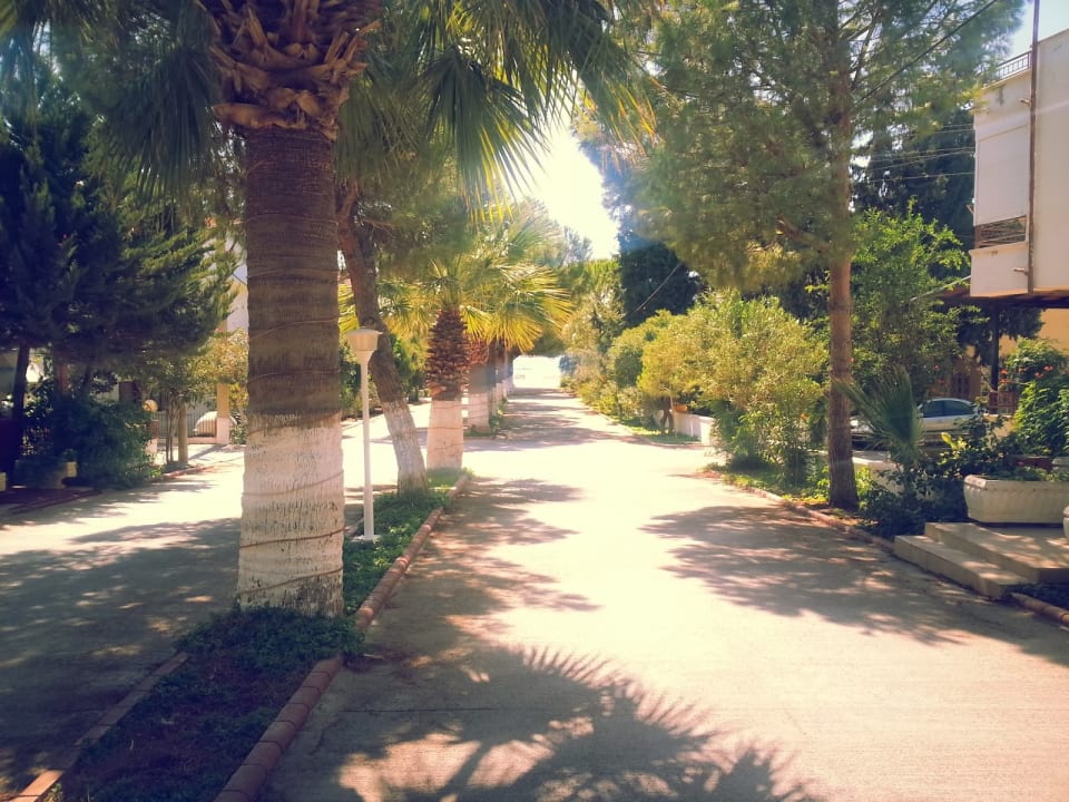 Sonstiges Hotel Fiesta Beach Didim