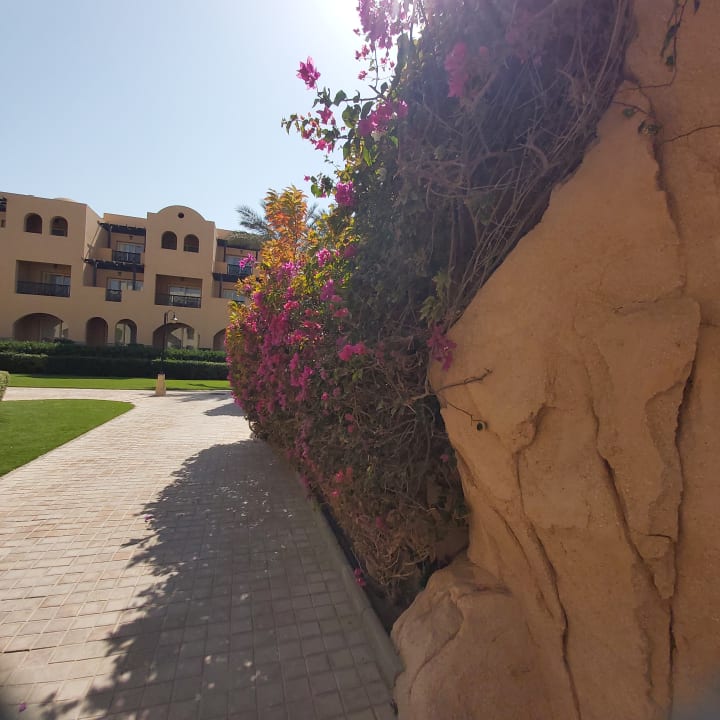 Gartenanlage Stella Garden Resort & Spa, Makadi Bay