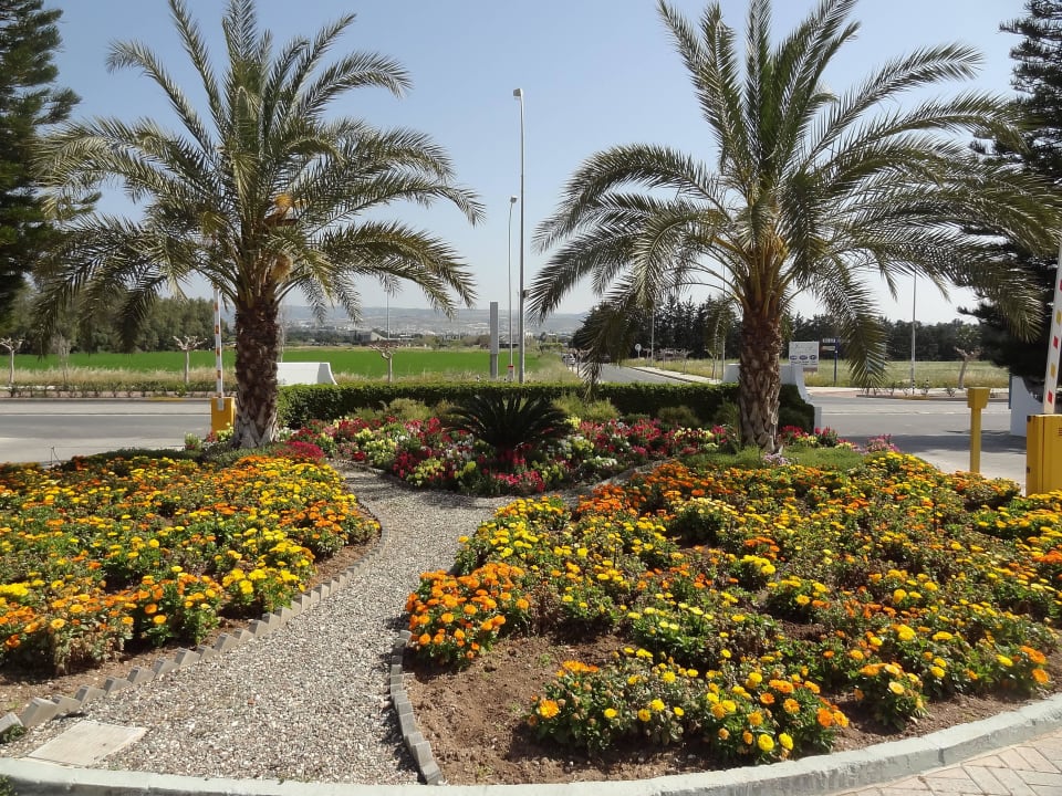 Gartenanlage, vor der Hotelfront TUI BLUE Pioneer Beach