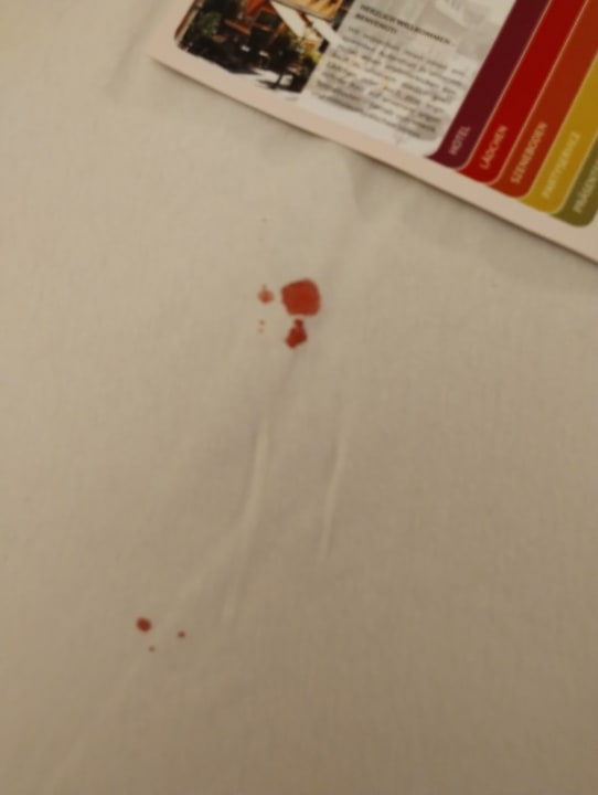 Zimmer Hotel Trendtino