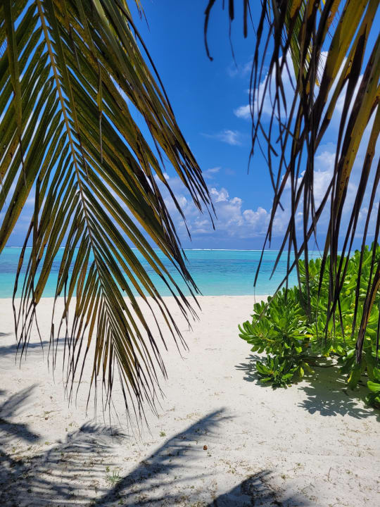 Strand Meeru Maldives Resort Island