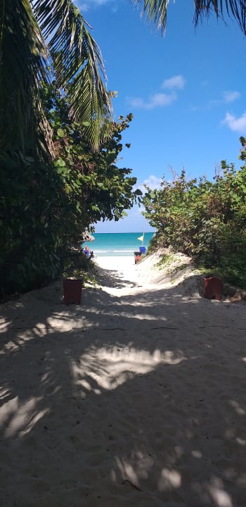 Strand Iberostar Origin Playa Alameda