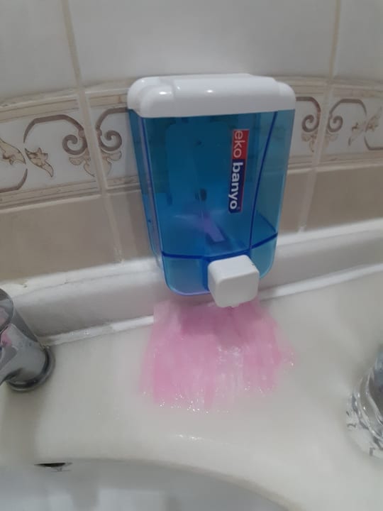 Zimmer Sayanora Hotel