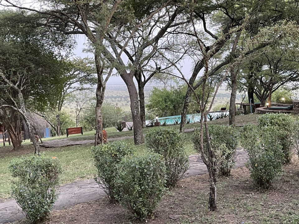 Pool Serengeti Serena Safari Lodge