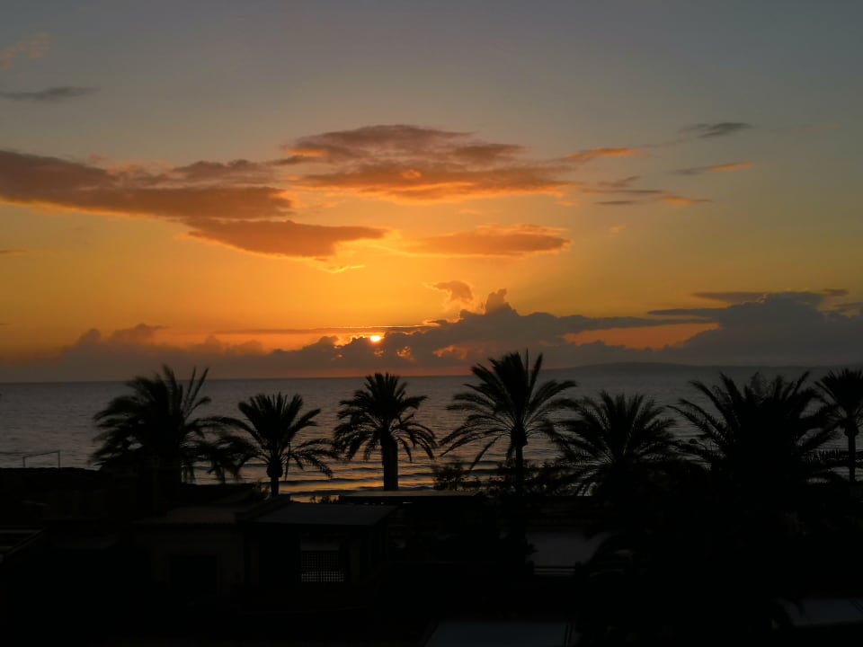 Ausblick Iberostar Selection Playa de Palma