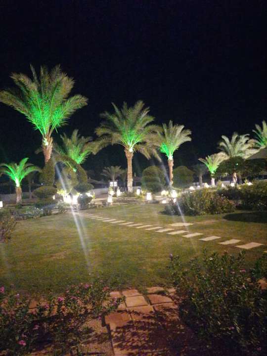 Gartenanlage Coral Sun Beach