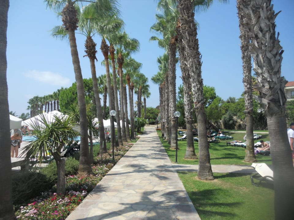 Gartenanlage Arum Barut Collection