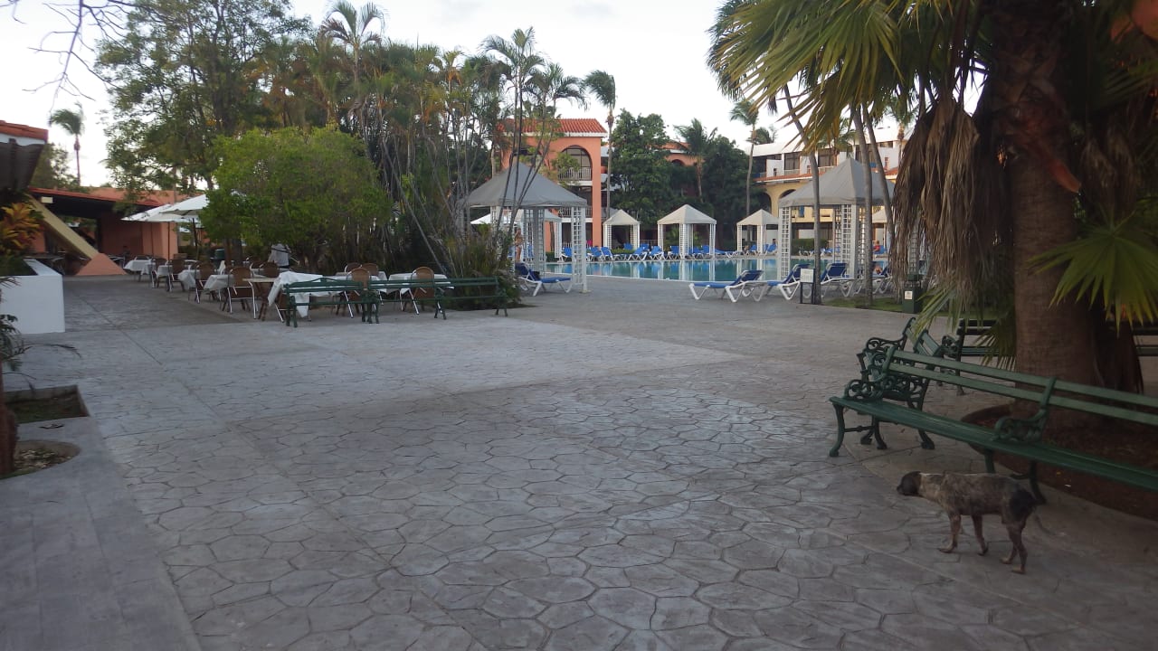 Gartenanlage Hotel Roc Barlovento