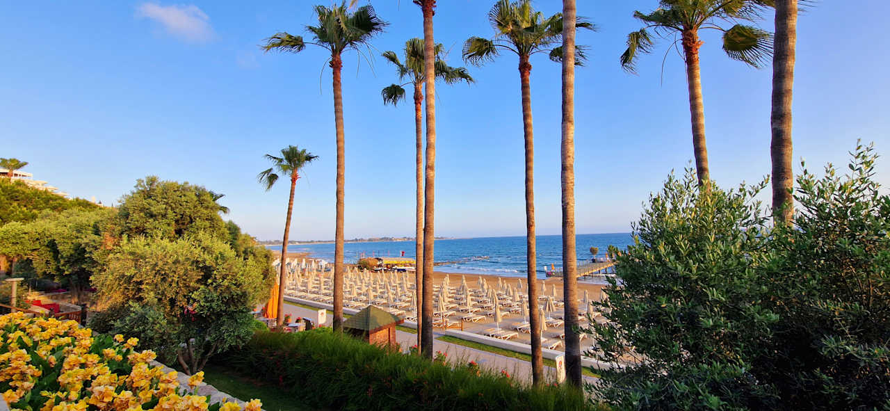 Gastro Arum Barut Collection